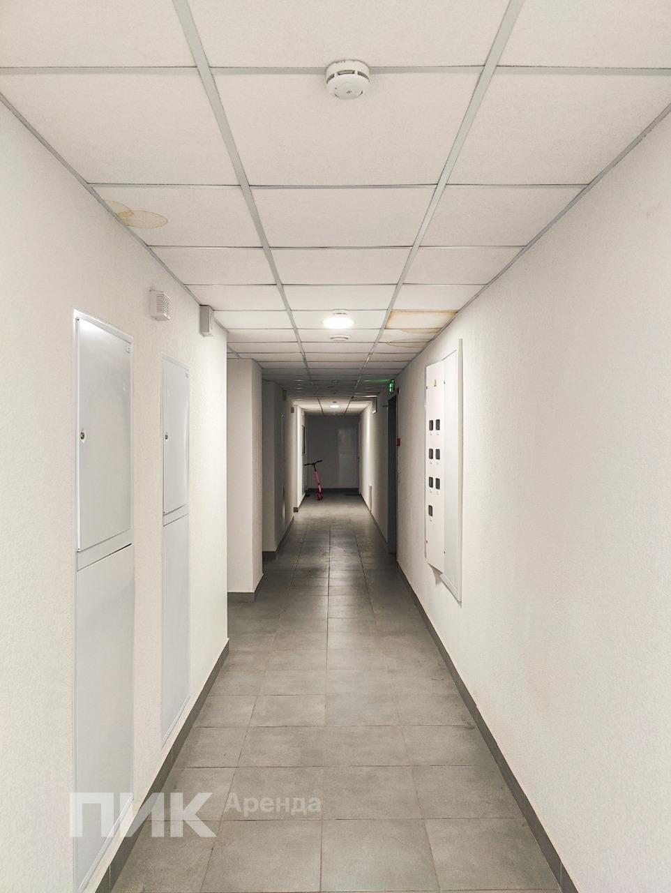 2-к. квартира, 52.3 м², 55 000 ₽/мес — фото № 14