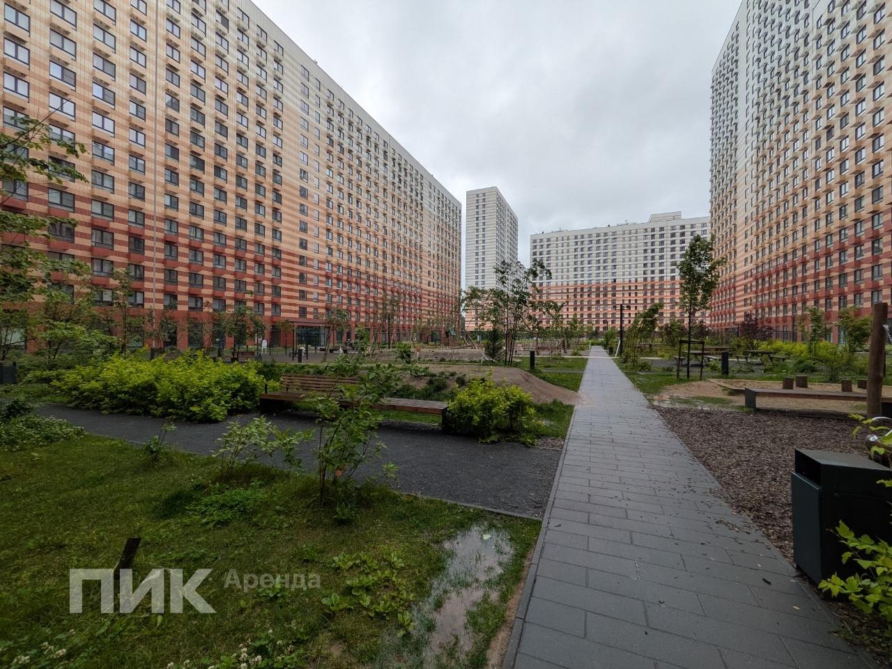 1-к. квартира, 31.6 м², 47 800 ₽/мес — фото № 19