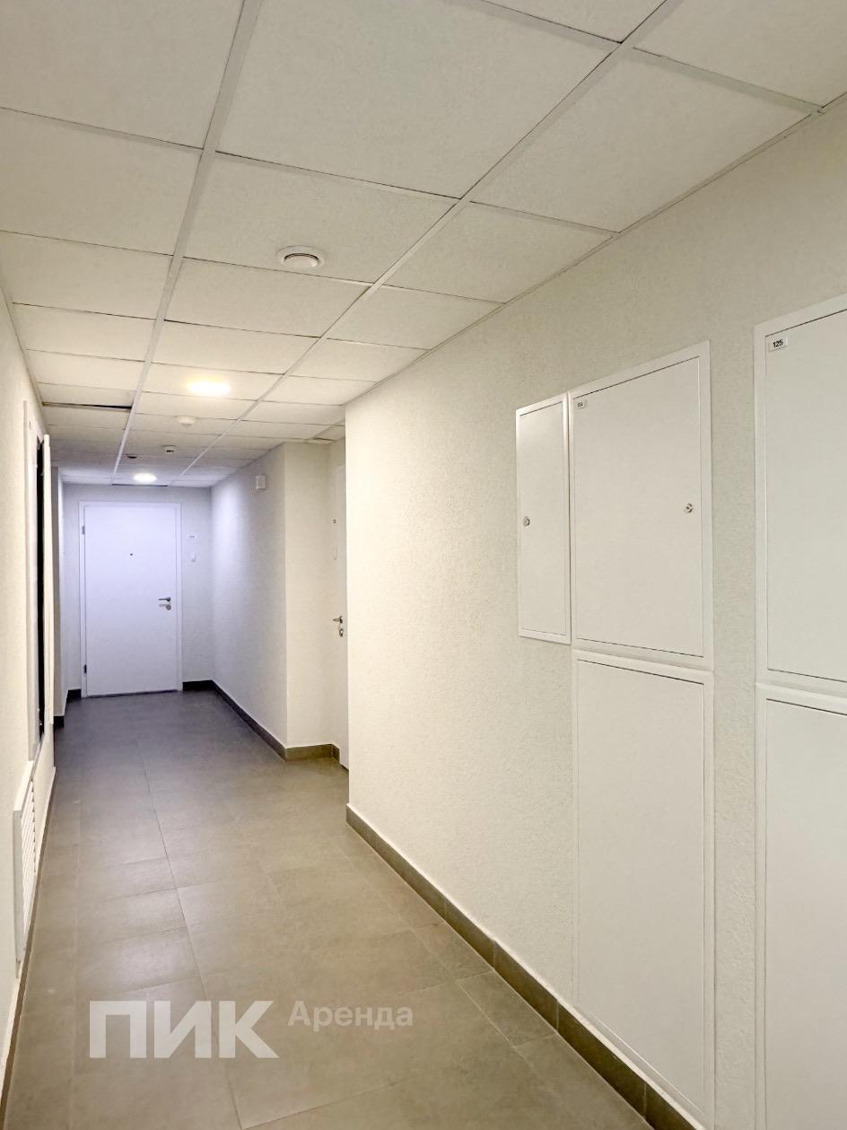 2-к. квартира, 66 м², 63 500 ₽/мес — фото № 17