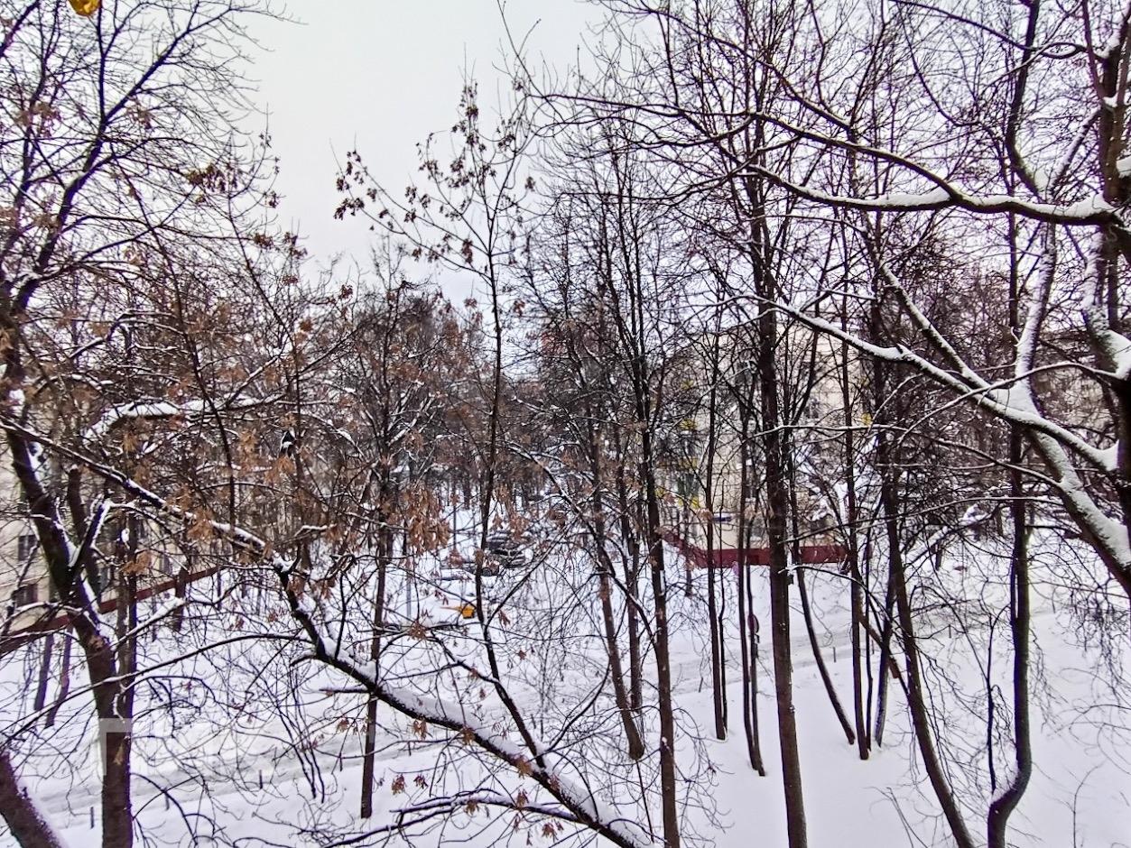 1-к. квартира, 31.6 м², 67 500 ₽/мес — фото № 16