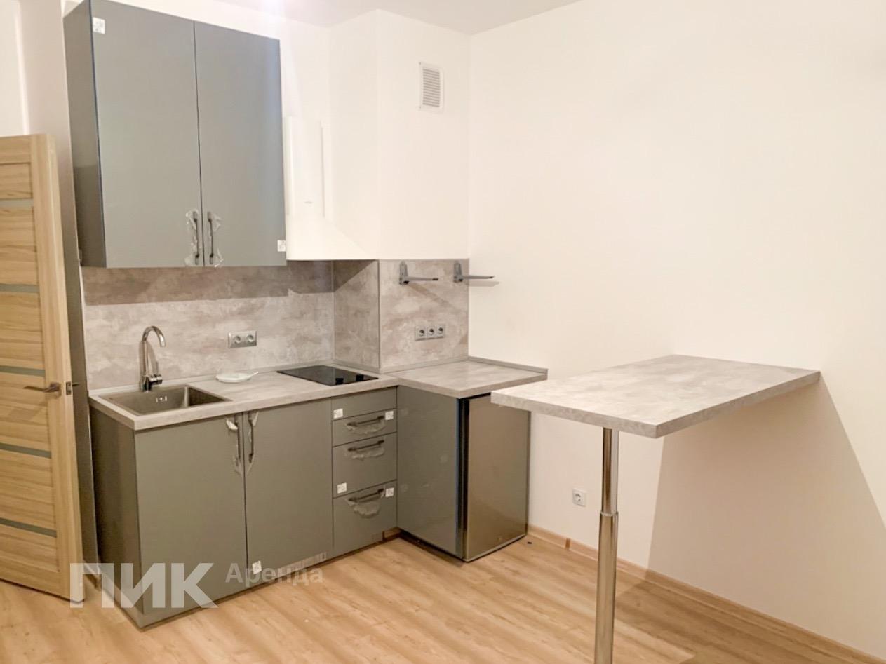 1-к. квартира, 25 м², 35 200 ₽/мес — фото № 1