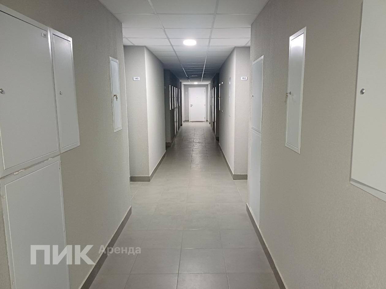 1-к. квартира, 33 м², 42 600 ₽/мес — фото № 15