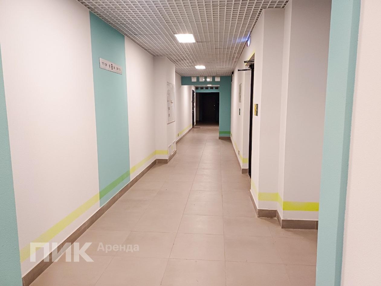 1-к. квартира, 31 м², 46 800 ₽/мес — фото № 12