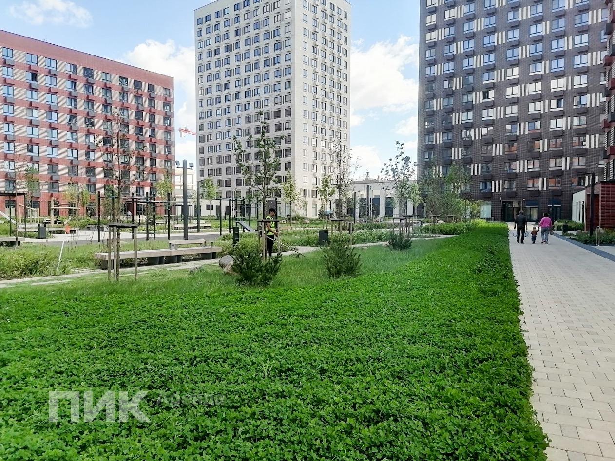 2-к. квартира, 50.9 м², 76 600 ₽/мес — фото № 15