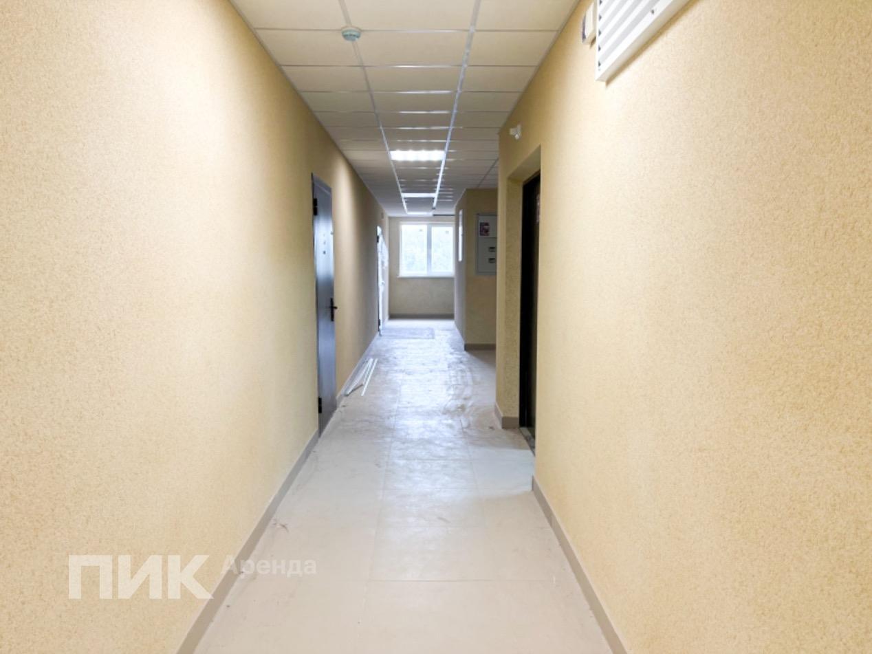 1-к. квартира, 27.9 м², 32 000 ₽/мес — фото № 15