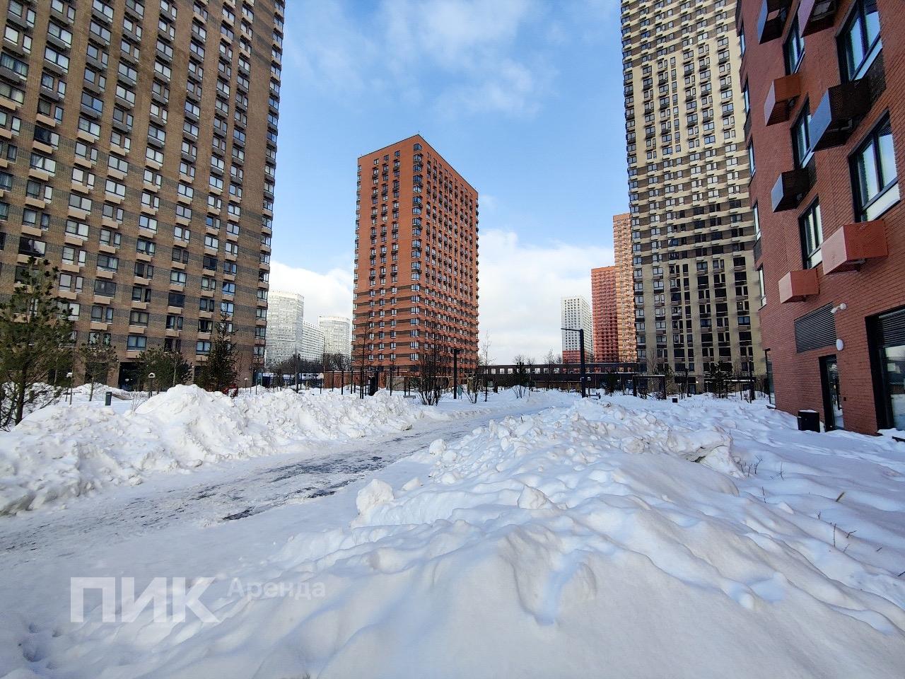 1-к. квартира, 30.5 м², 89 500 ₽/мес — фото № 15