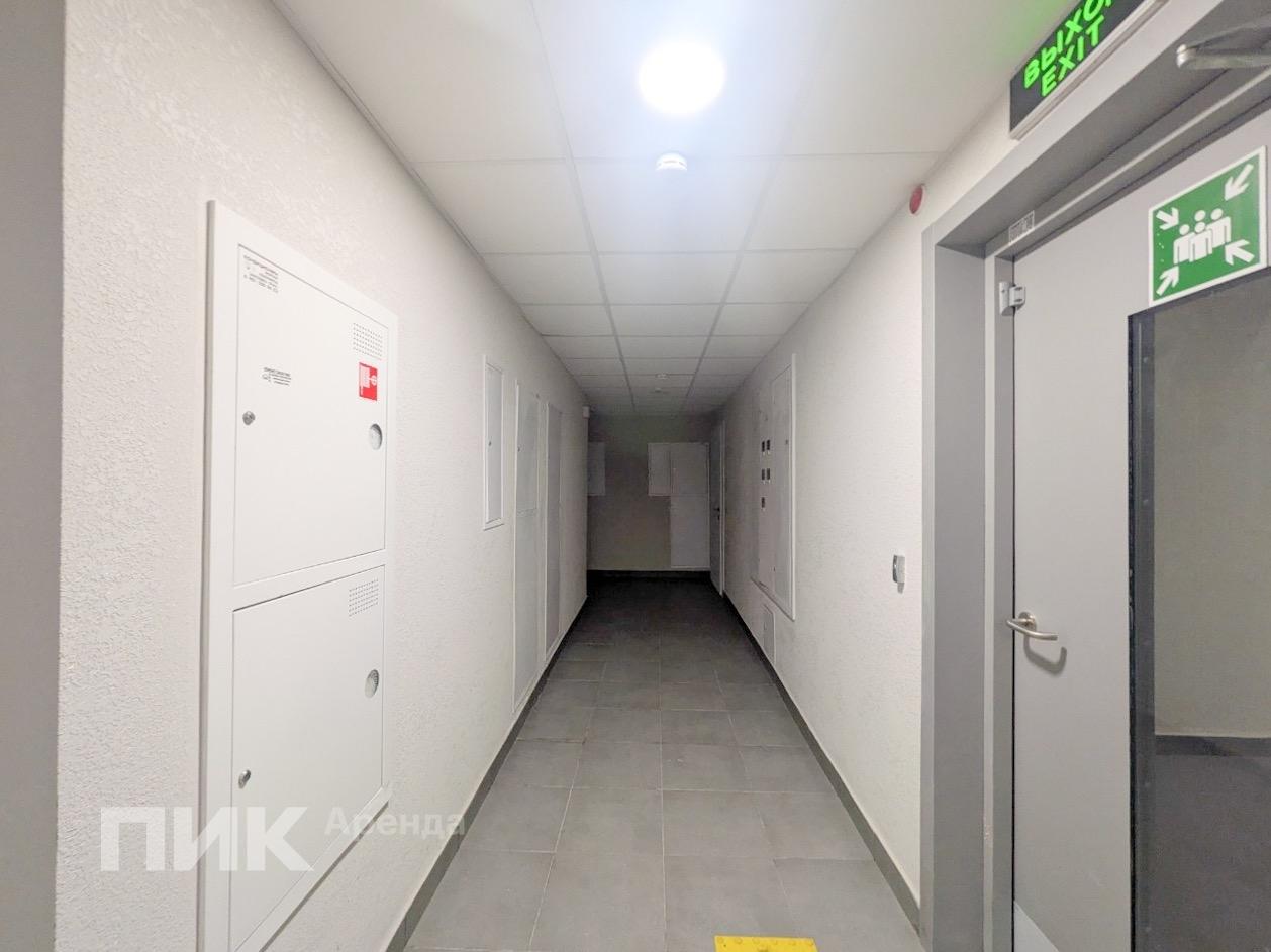 1-к. квартира, 33 м², 53 100 ₽/мес — фото № 9