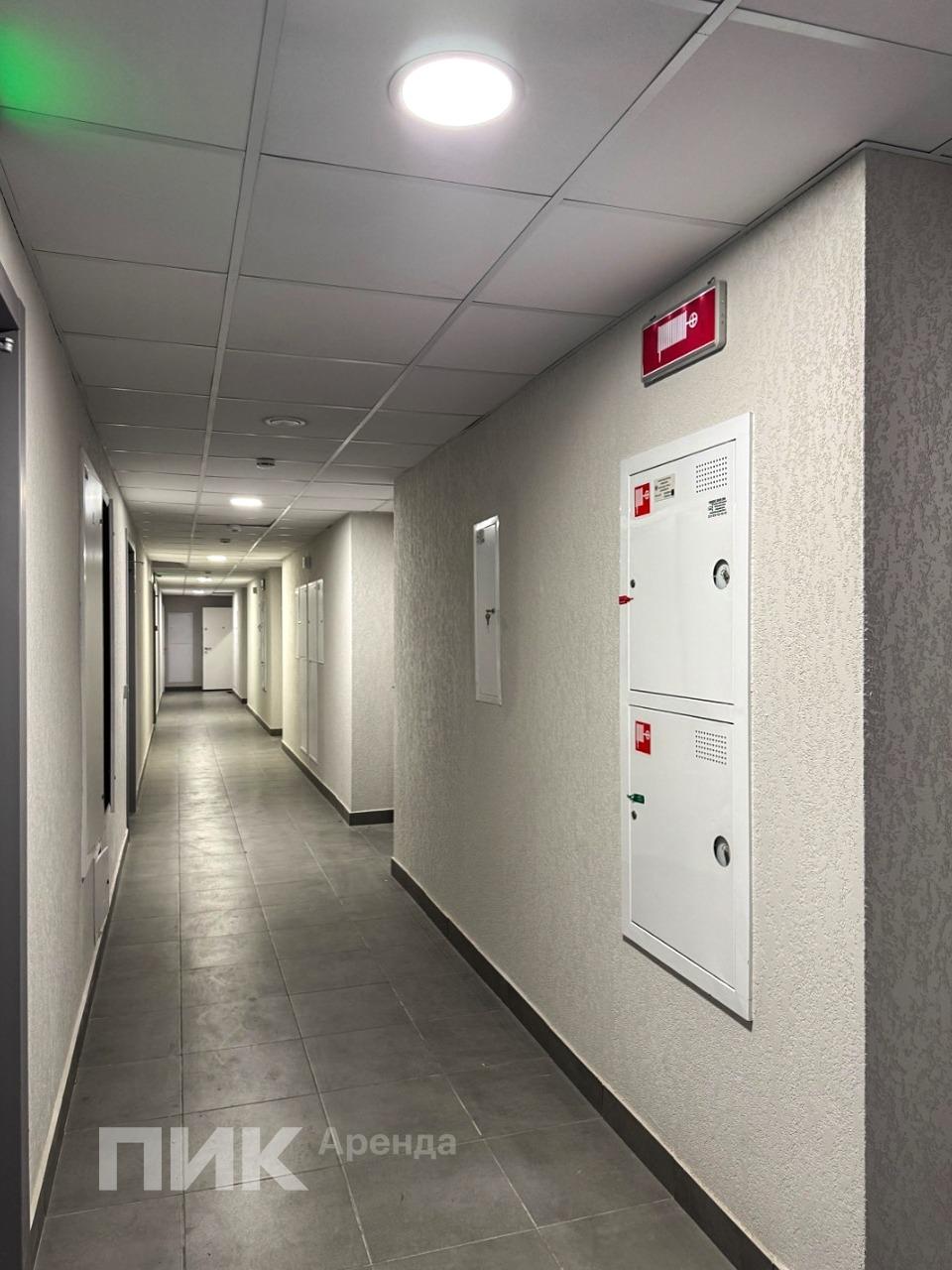 1-к. квартира, 31.5 м², 81 900 ₽/мес — фото № 13