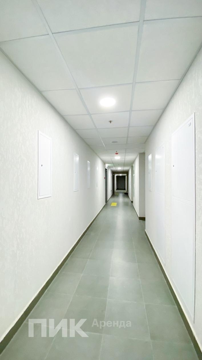 1-к. квартира, 31.5 м², 73 900 ₽/мес — фото № 13