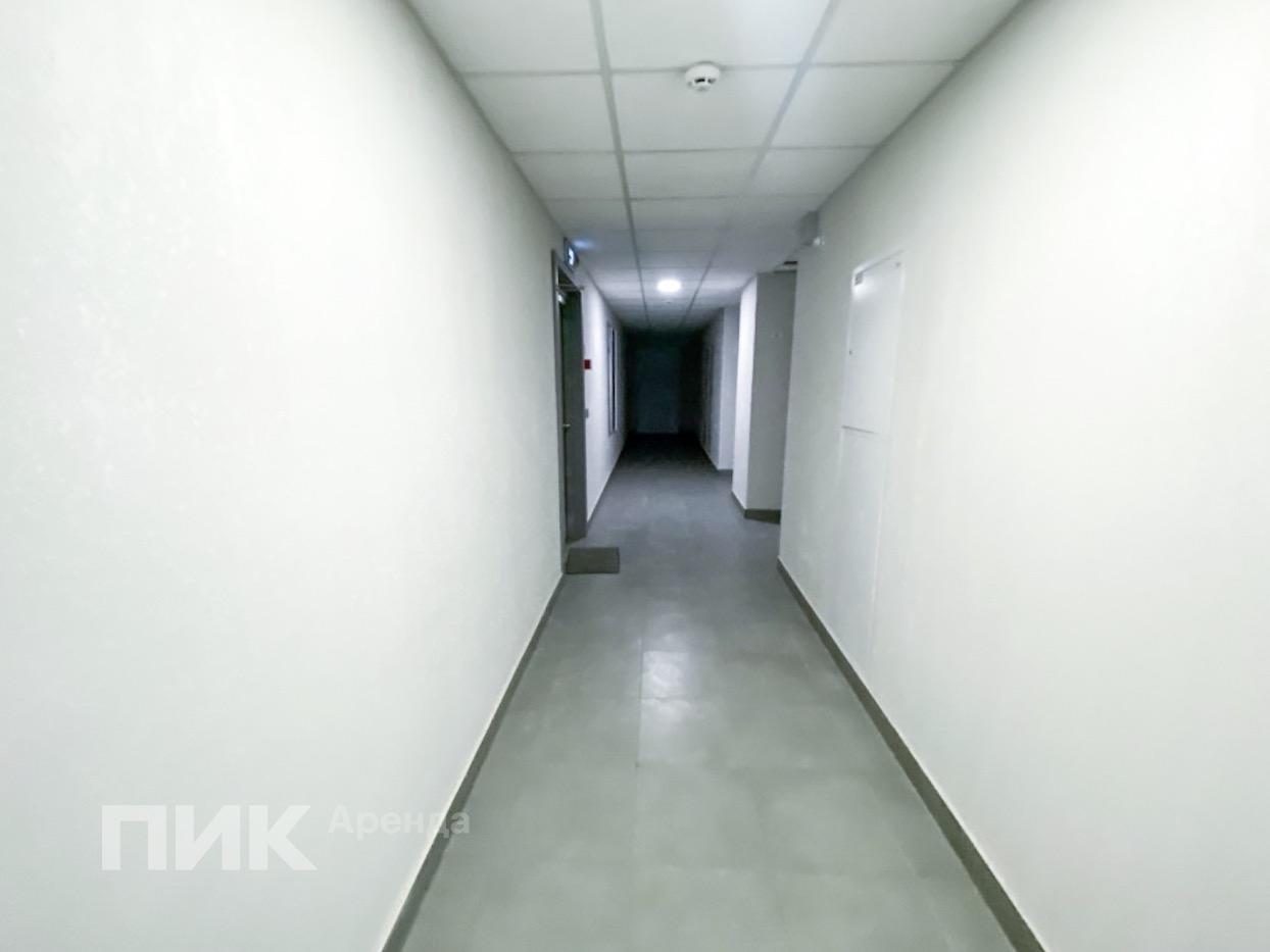1-к. квартира, 33.8 м², 50 000 ₽/мес — фото № 10