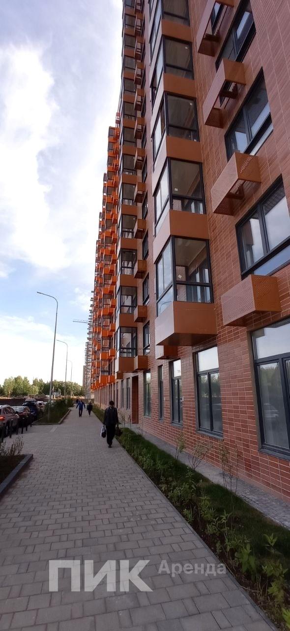 1-к. квартира, 40 м², 28 300 ₽/мес — фото № 15