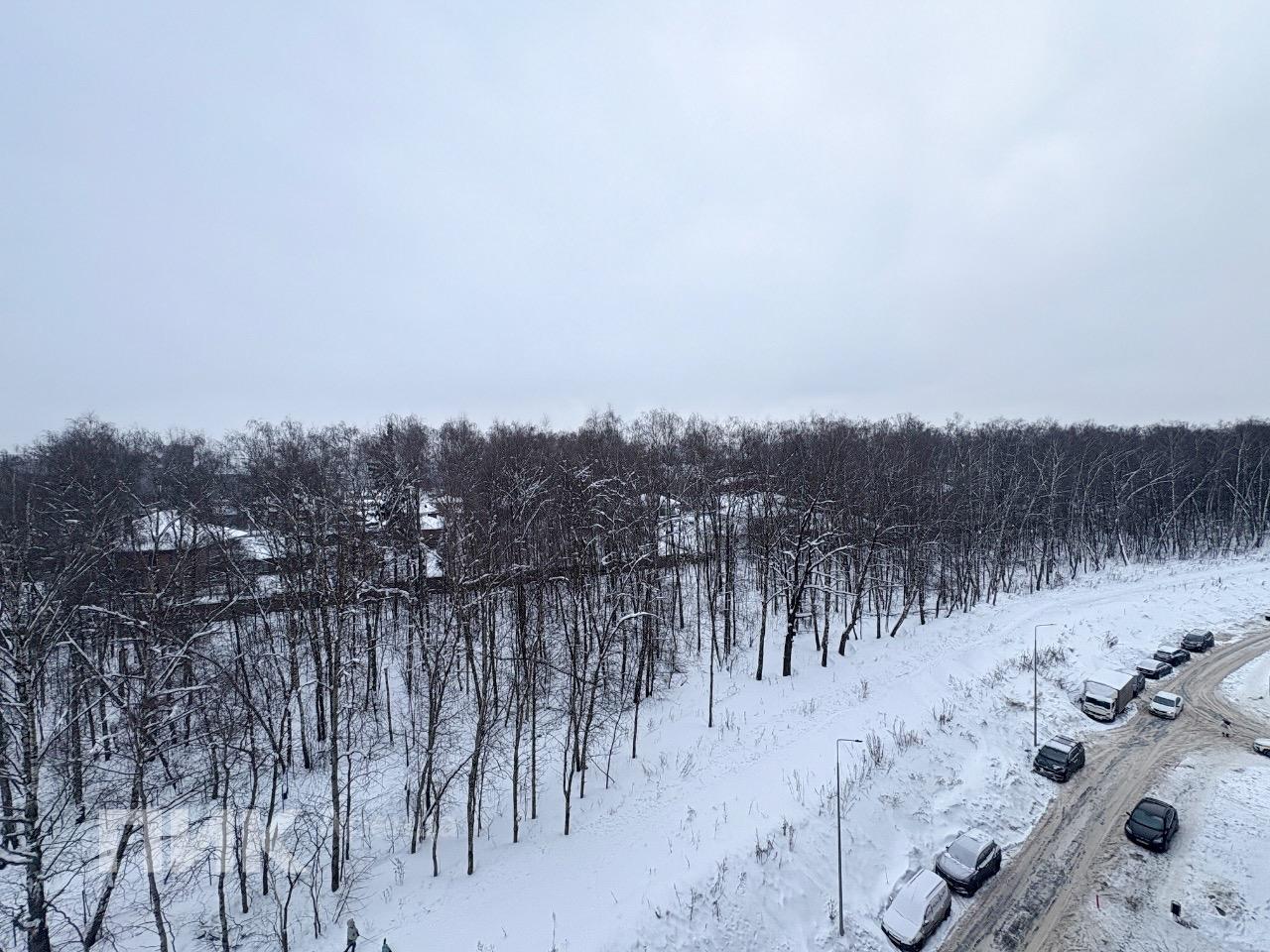 1-к. квартира, 30.7 м², 60 400 ₽/мес — фото № 15