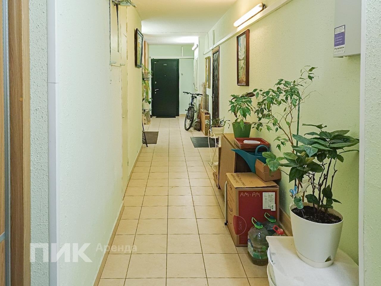 1-к. квартира, 39 м², 29 400 ₽/мес — фото № 12