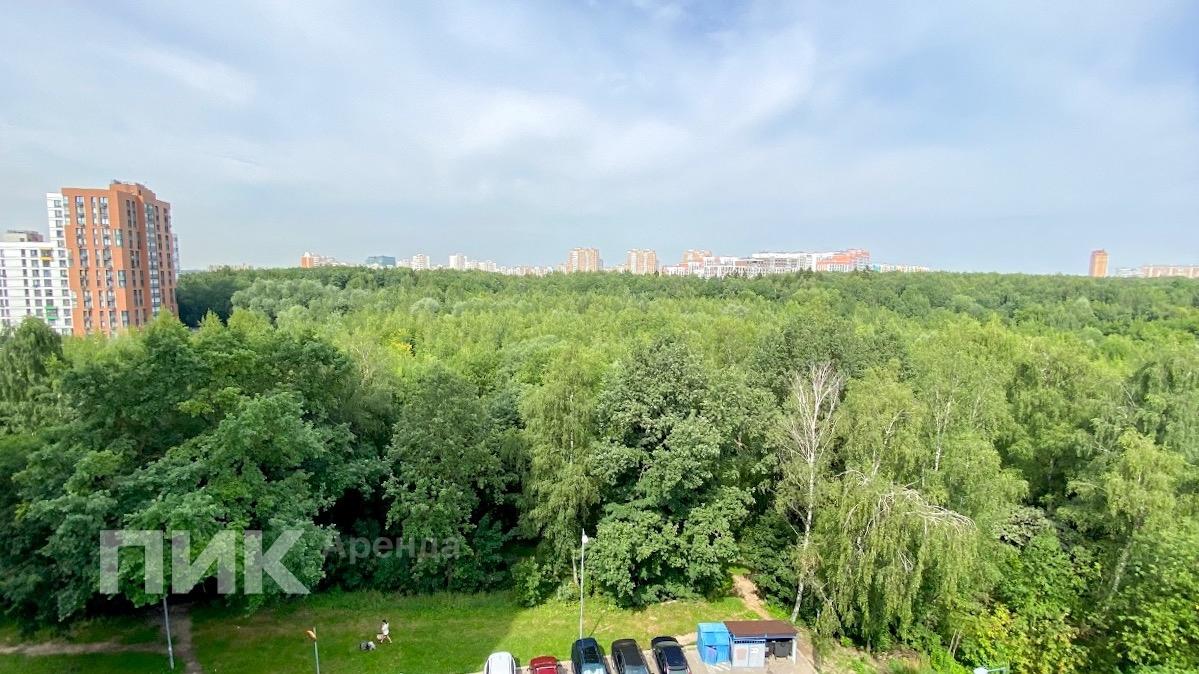 2-к. квартира, 45.9 м², 70 000 ₽/мес — фото № 20