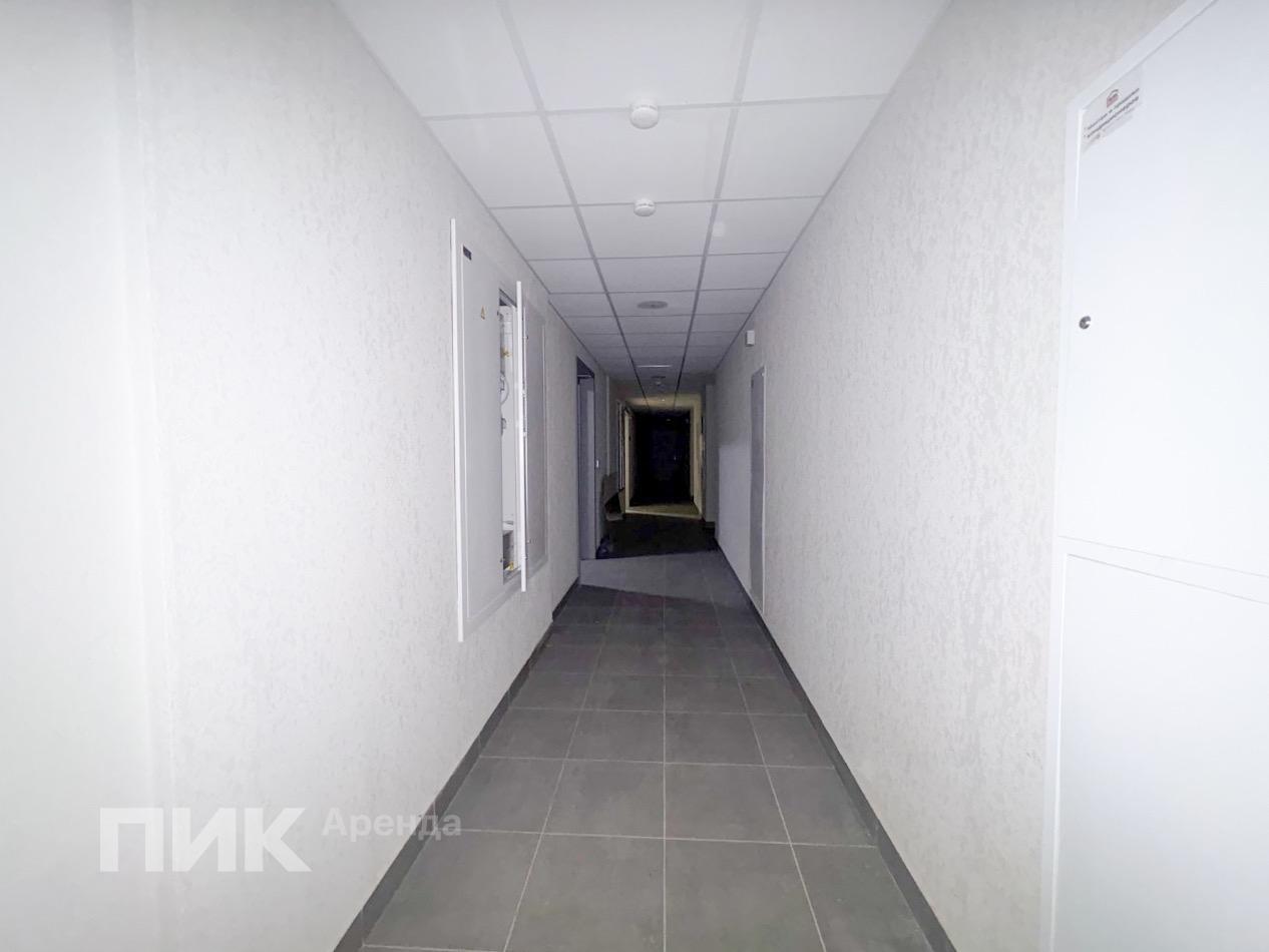 студия, 19.7 м², 65 900 ₽/мес — фото № 6