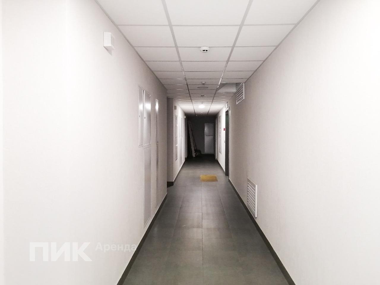 2-к. квартира, 49.5 м², 64 000 ₽/мес — фото № 15