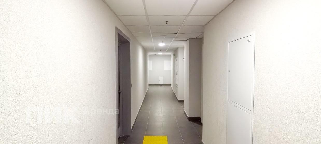 1-к. квартира, 30.3 м², 55 000 ₽/мес — фото № 8