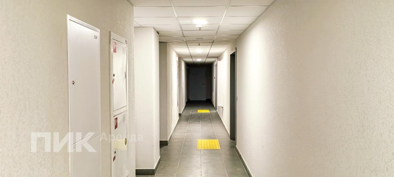 1-к. квартира, 30.3 м², 55 000 ₽/мес — фото № 9