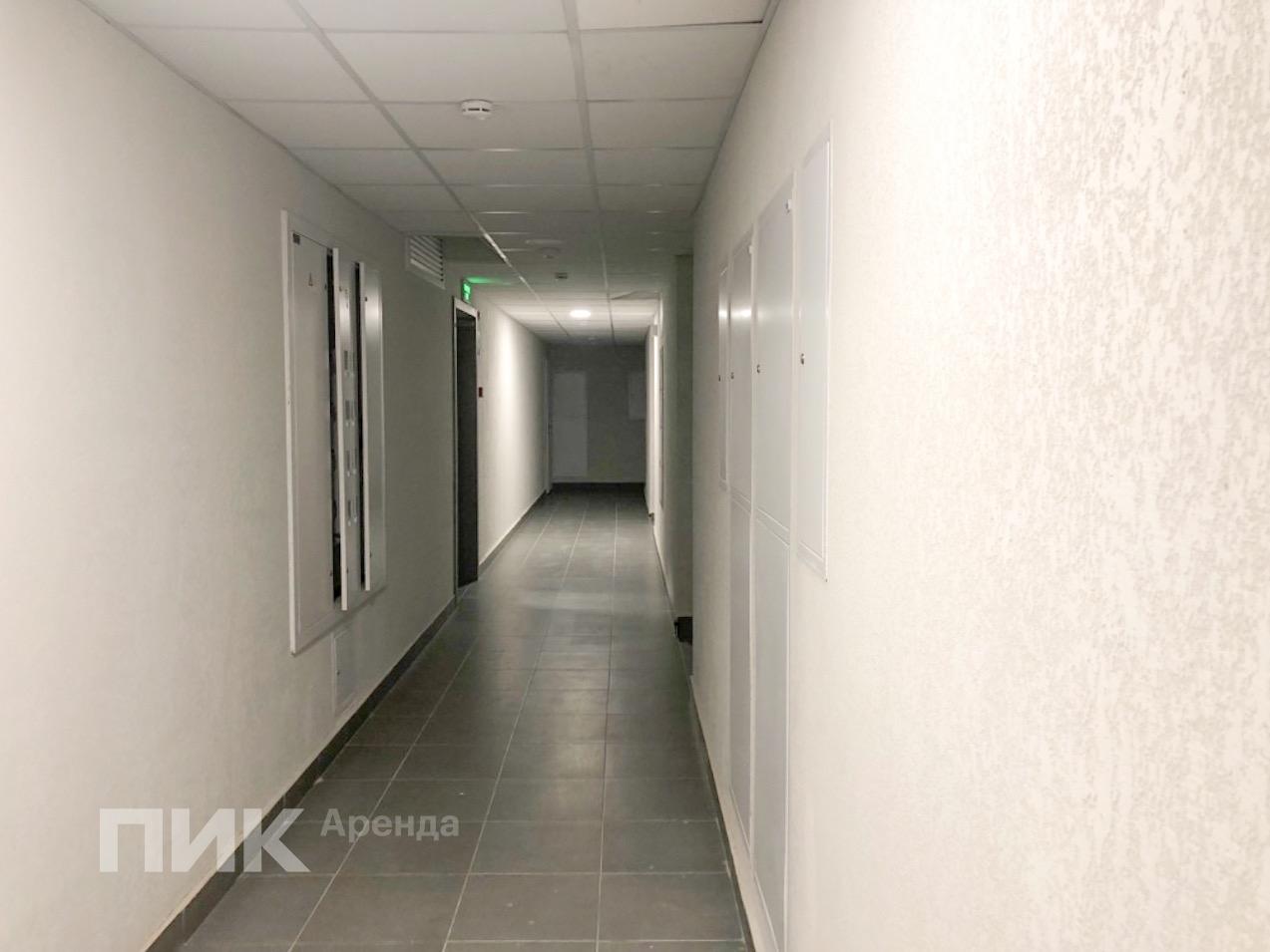 1-к. квартира, 31.8 м², 55 000 ₽/мес — фото № 11