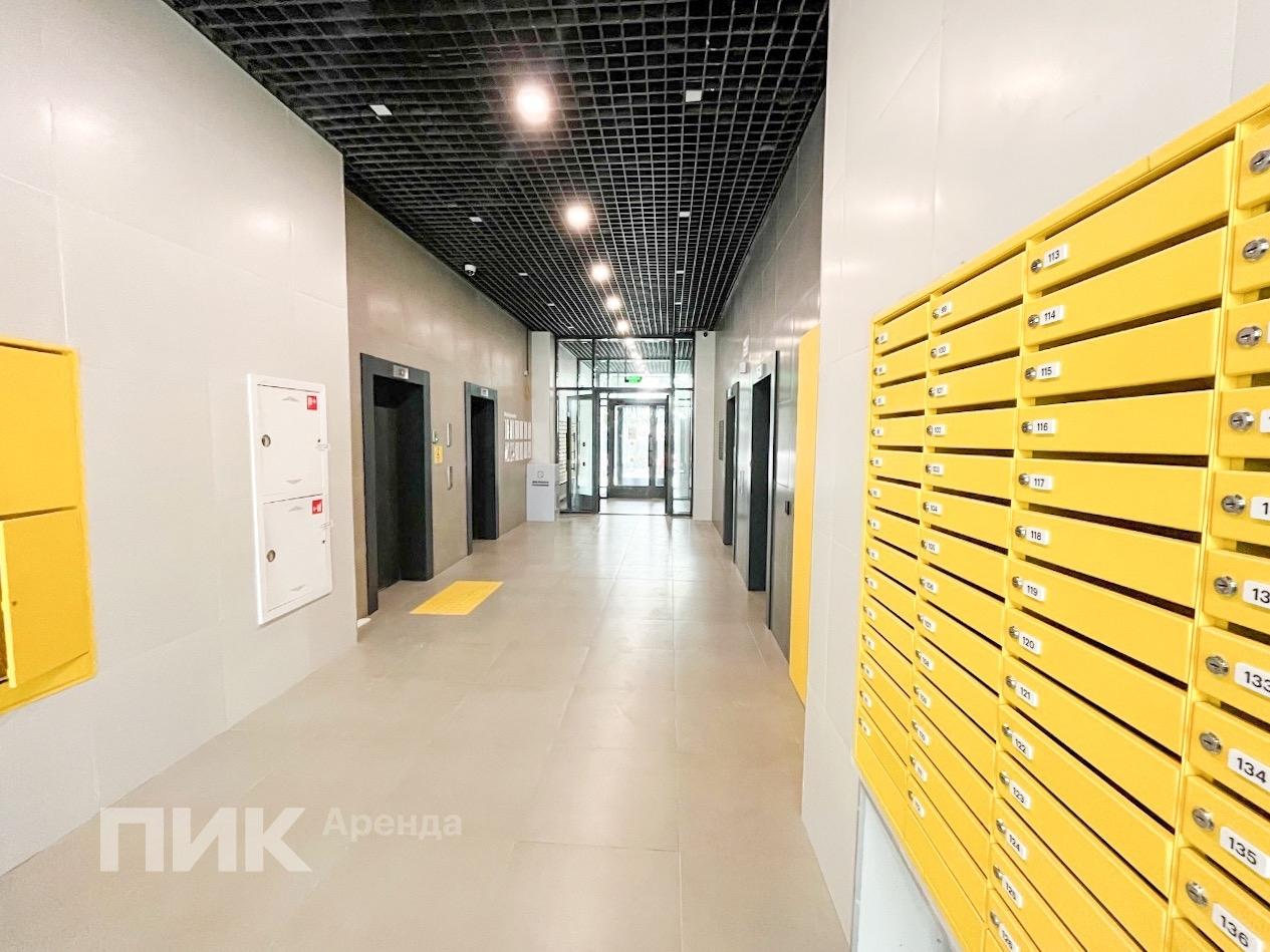 1-к. квартира, 31.8 м², 55 000 ₽/мес — фото № 13