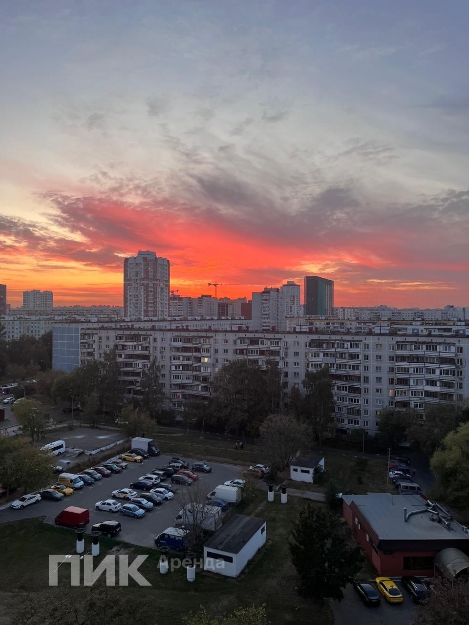 1-к. квартира, 22.1 м², 68 500 ₽/мес — фото № 12