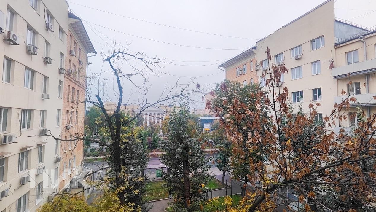 1-к. квартира, 17.5 м², 84 300 ₽/мес — фото № 12