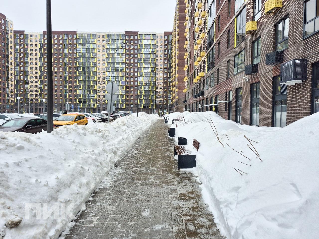 студия, 24.8 м², 39 800 ₽/мес — фото № 16