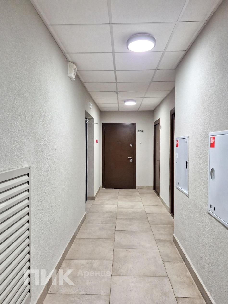 студия, 24.8 м², 39 800 ₽/мес — фото № 11