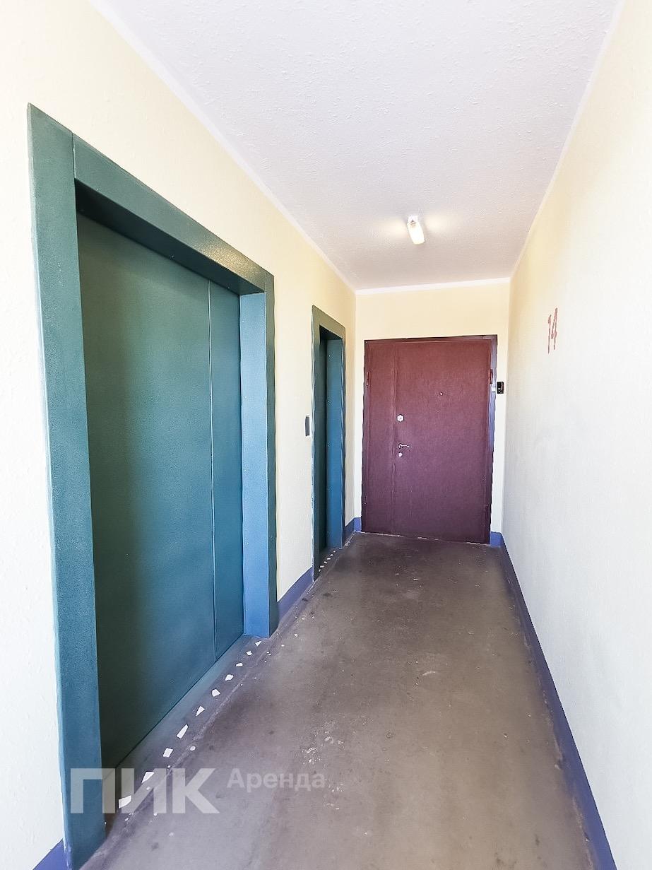 3-к. квартира, 76.7 м², 74 800 ₽/мес — фото № 15