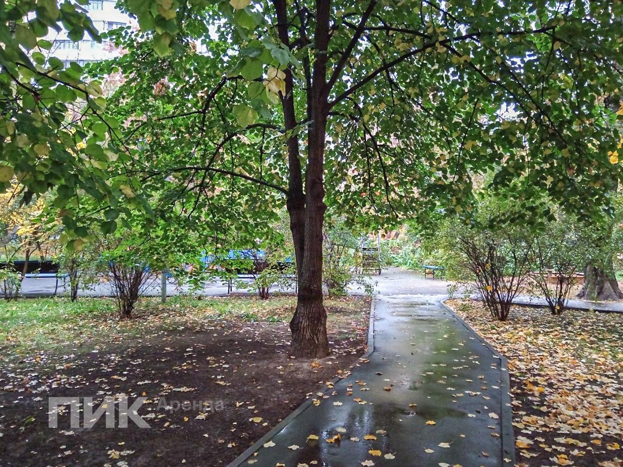 1-к. квартира, 42.5 м², 73 900 ₽/мес — фото № 25