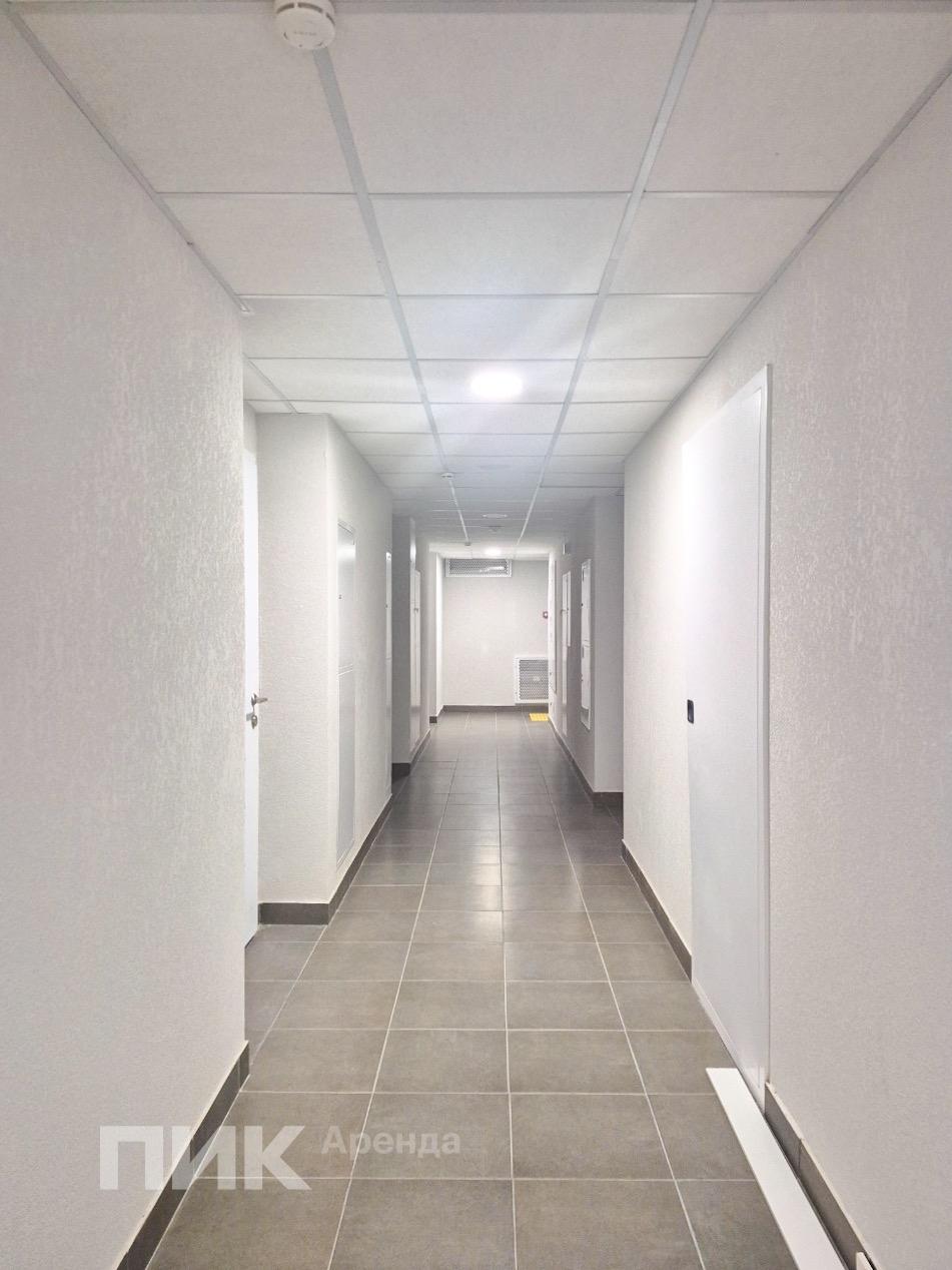 2-к. квартира, 55.4 м², 81 200 ₽/мес — фото № 15