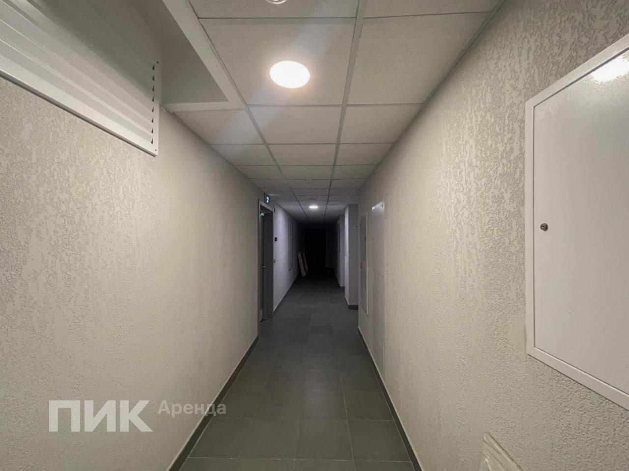 1-к. квартира, 33 м², 55 000 ₽/мес — фото № 9