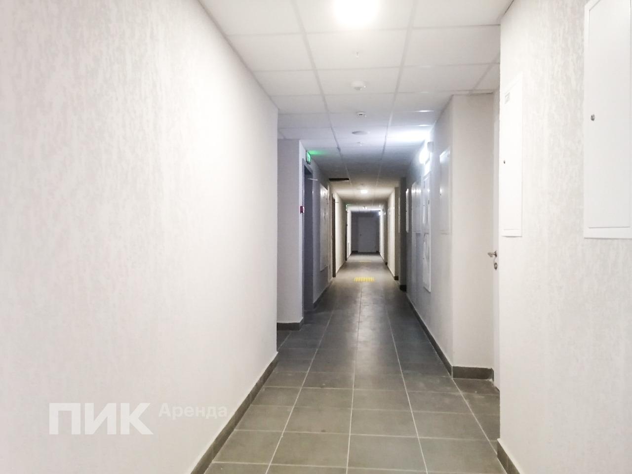 студия, 25.1 м², 62 500 ₽/мес — фото № 9