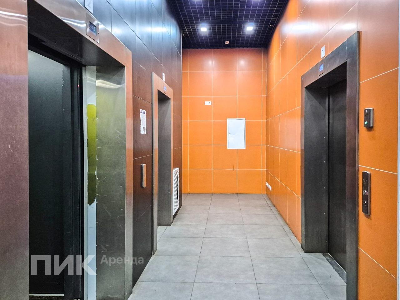 2-к. квартира, 54.7 м², 89 500 ₽/мес — фото № 13