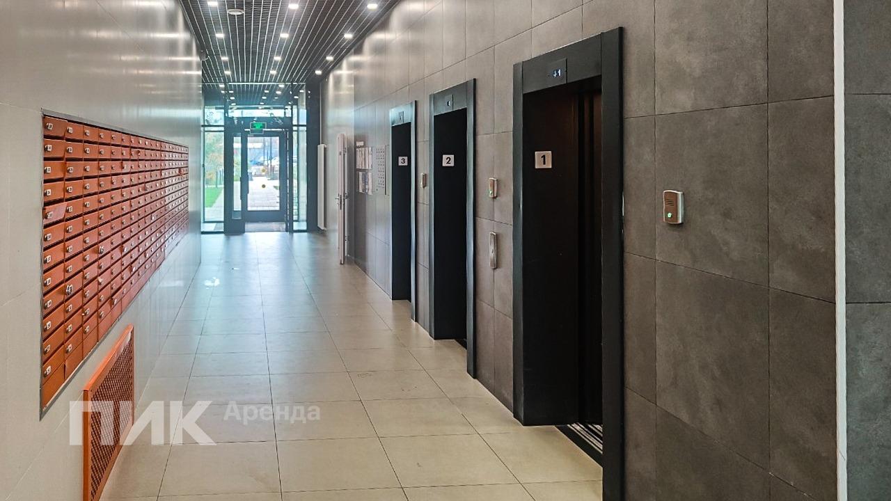 3-к. квартира, 52 м², 132 100 ₽/мес — фото № 15