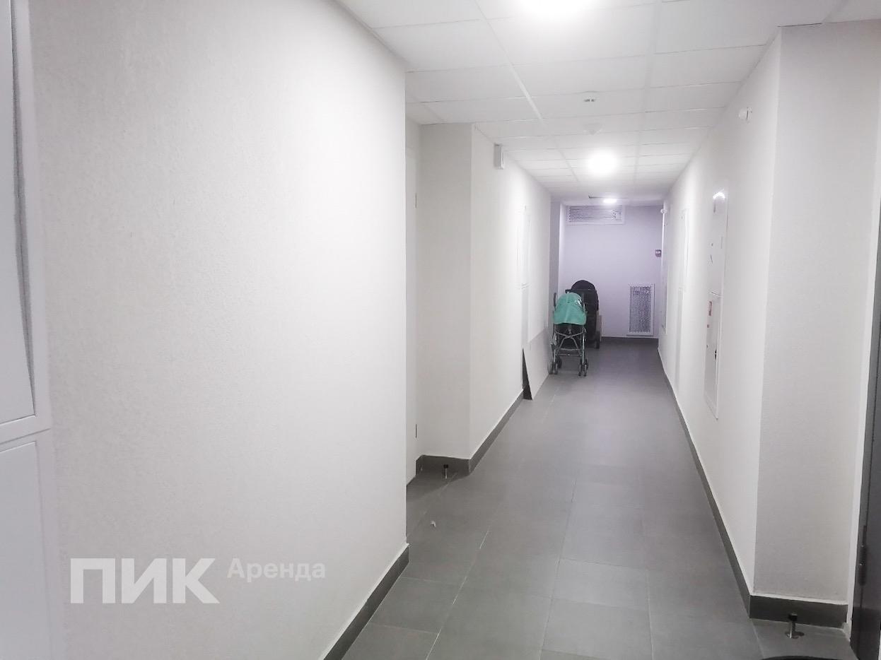 2-к. квартира, 54 м², 65 900 ₽/мес — фото № 15