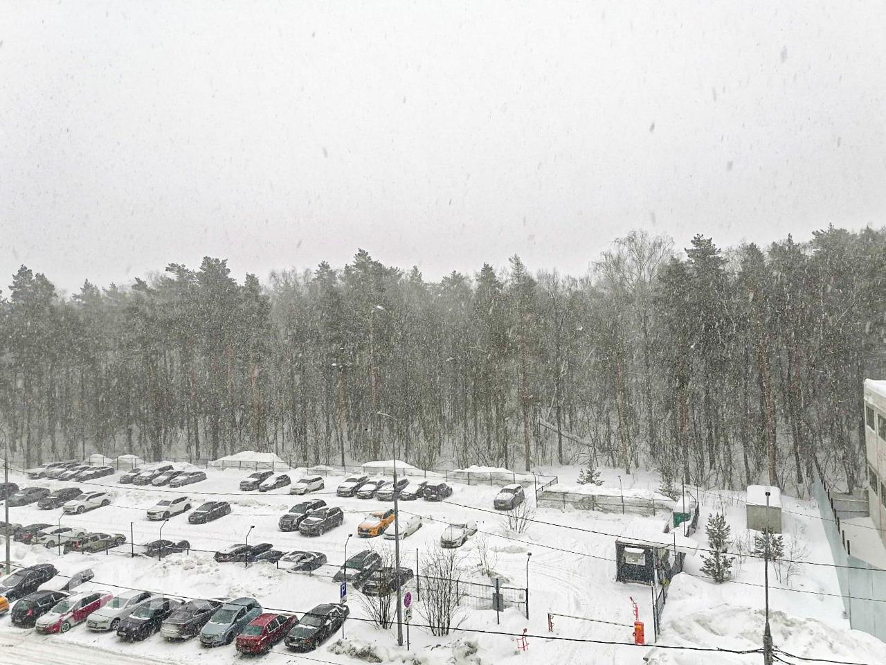 2-к. квартира, 60 м², 79 100 ₽/мес — фото № 18