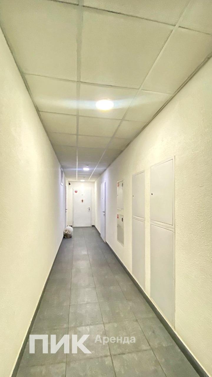 2-к. квартира, 45.9 м², 70 000 ₽/мес — фото № 14