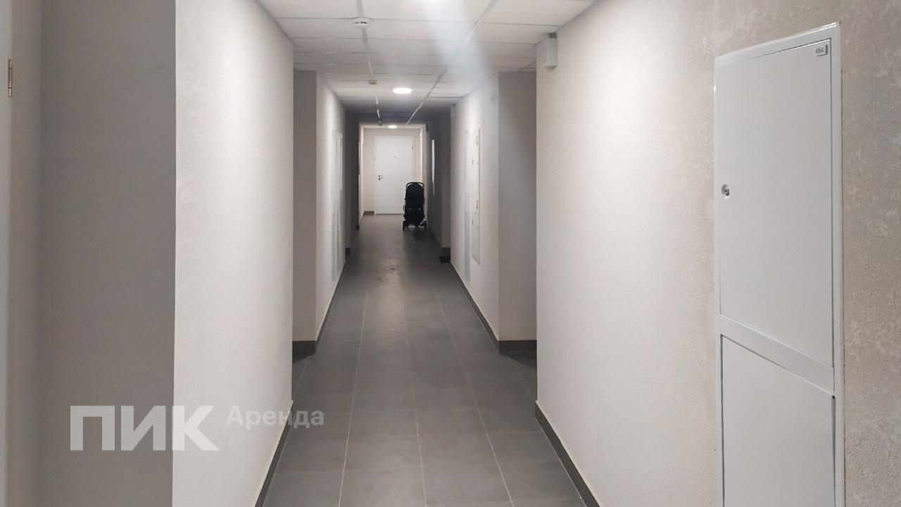 1-к. квартира, 36 м², 49 000 ₽/мес — фото № 15