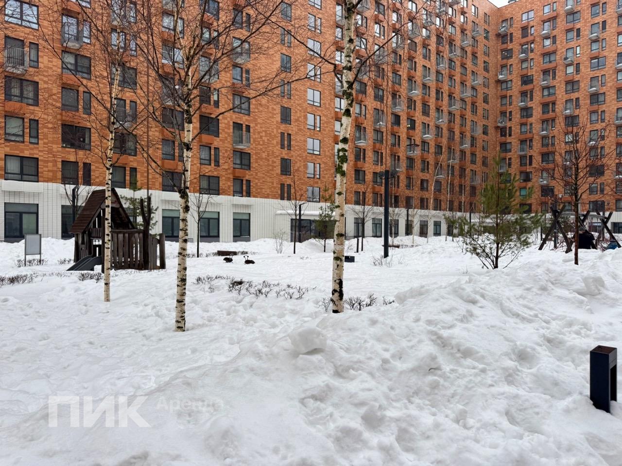 студия, 22.5 м², 65 000 ₽/мес — фото № 17