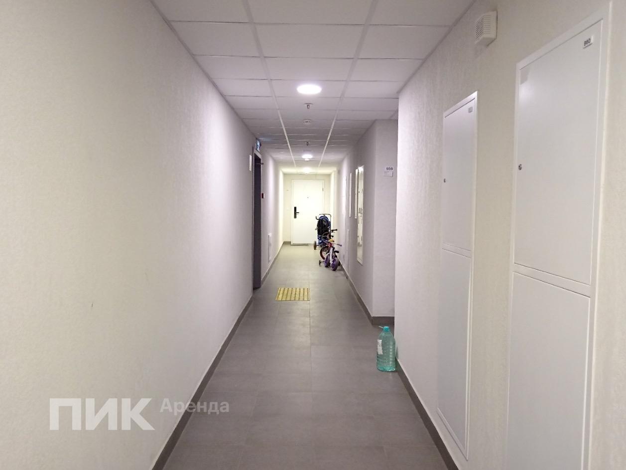 студия, 19.7 м², 64 700 ₽/мес — фото № 9