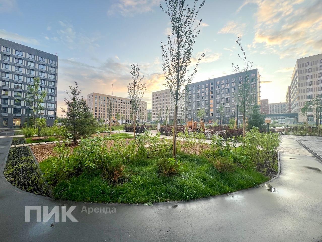 1-к. квартира, 43.3 м², 45 000 ₽/мес — фото № 20