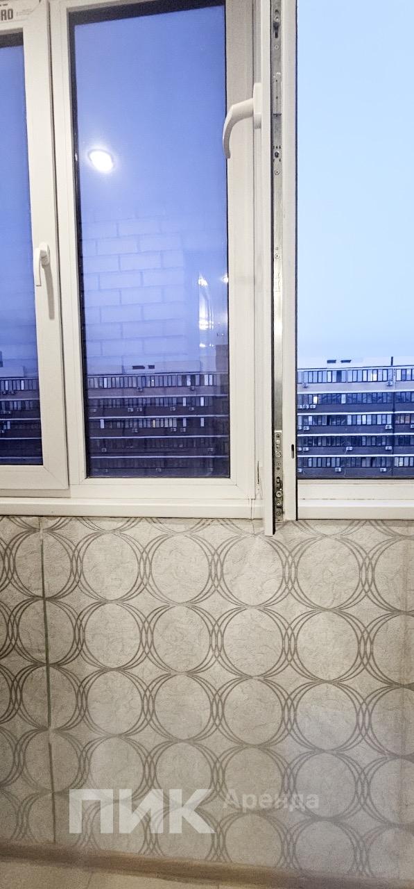 студия, 23 м², 23 000 ₽/мес — фото № 11