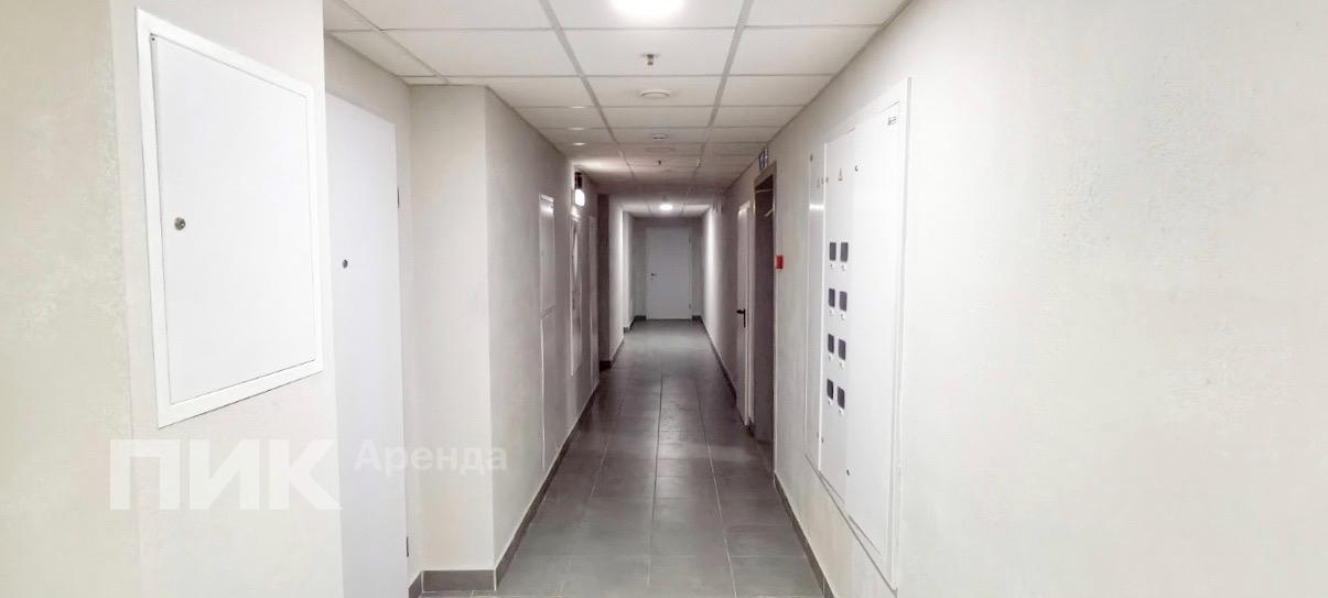 студия, 23 м², 67 000 ₽/мес — фото № 12