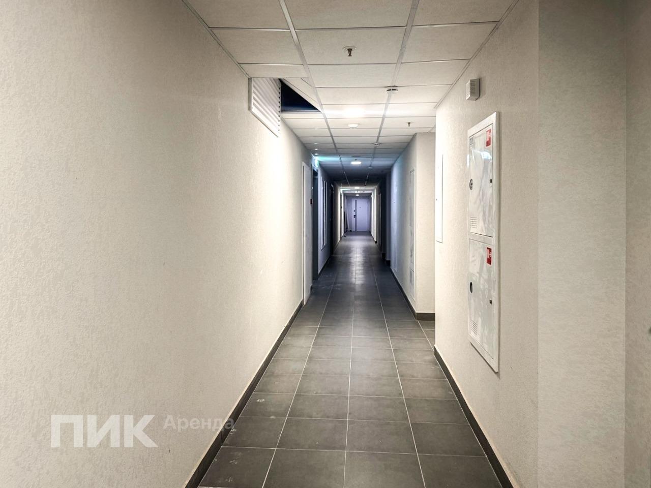 2-к. квартира, 33.8 м², 89 500 ₽/мес — фото № 9