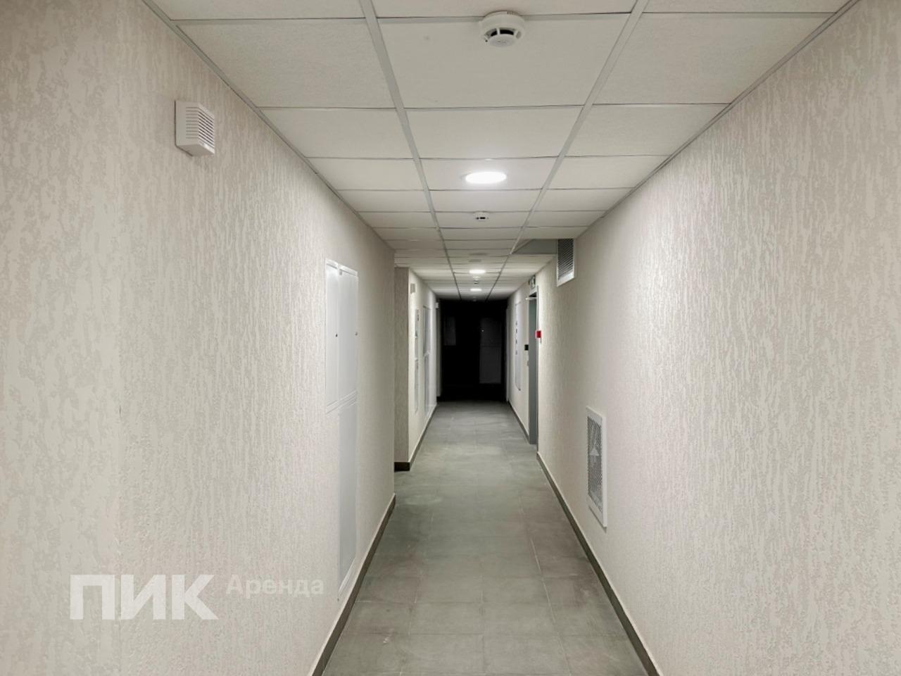 2-к. квартира, 49 м², 69 600 ₽/мес — фото № 15