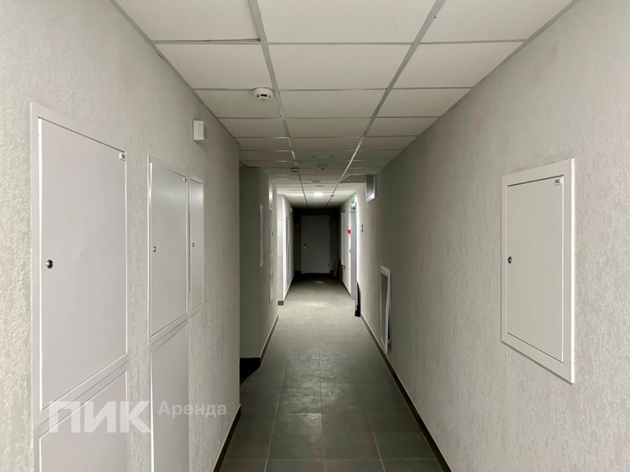 2-к. квартира, 52 м², 73 200 ₽/мес — фото № 13