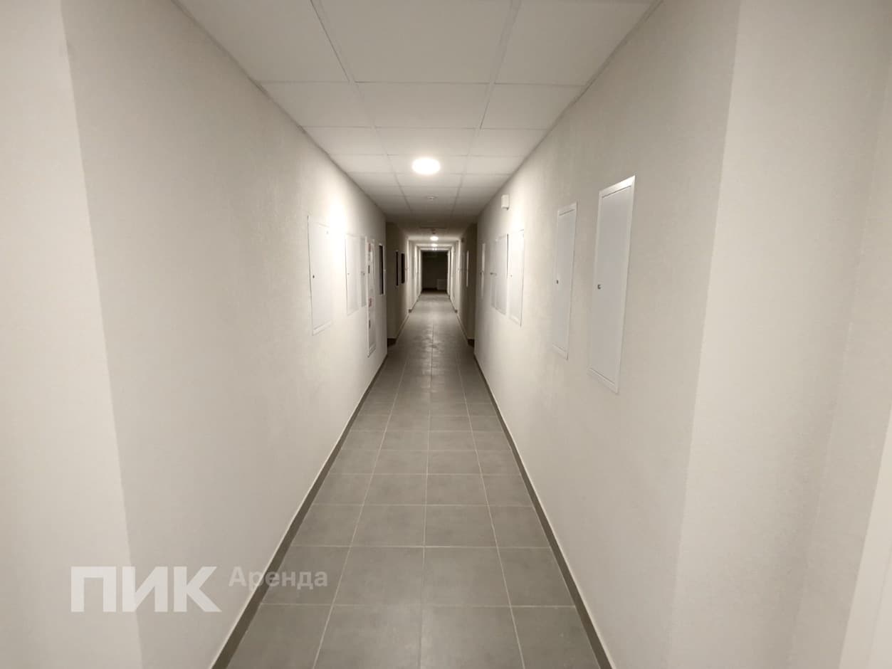 2-к. квартира, 33 м², 60 400 ₽/мес — фото № 14