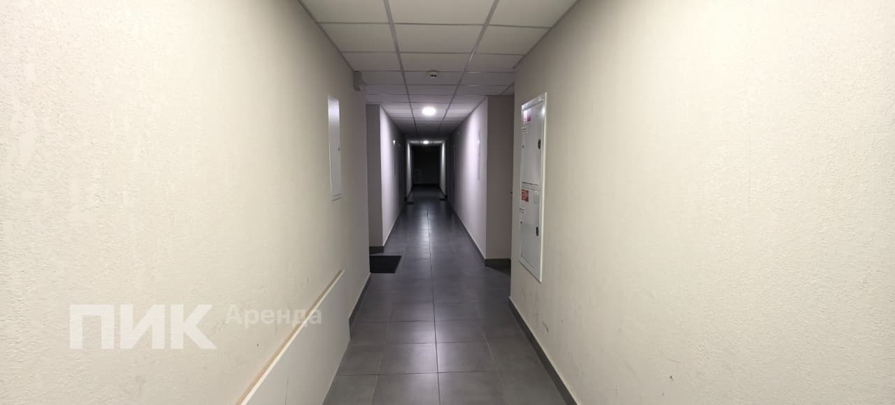 3-к. квартира, 79.8 м², 88 300 ₽/мес — фото № 15