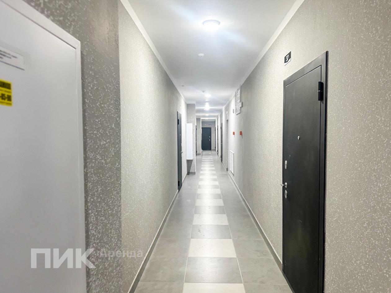 1-к. квартира, 35 м², 31 000 ₽/мес — фото № 21